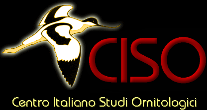 CISO Centro Italiano Studi Ornitologici
