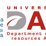 Screenshot 2025-12-10 130828