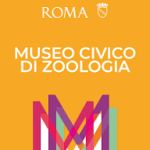 Secondo ciclo di mini conferenze sugli insetti.