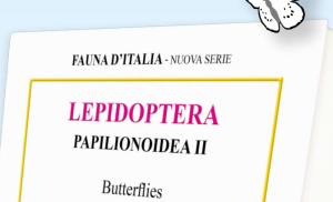 Screenshot 2026-03-18 122857