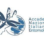 Premio Marco Osella 2026